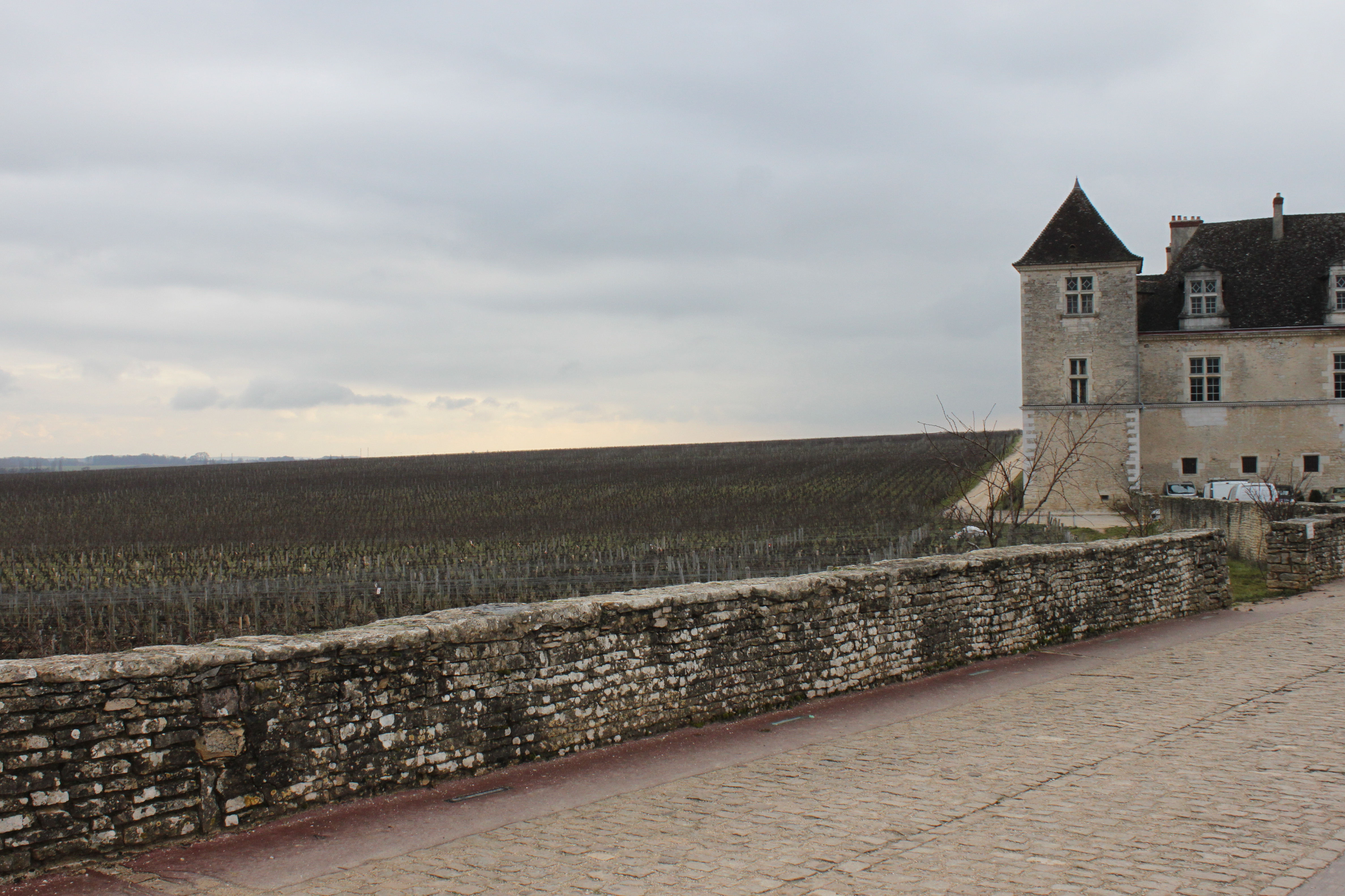 Château du clos de Vougeot 