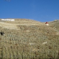 Côte-Rôtie  Guigal