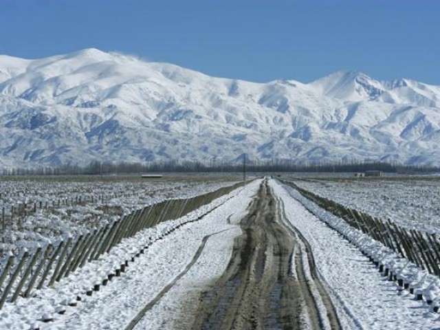 I vigneti più alti del mondo