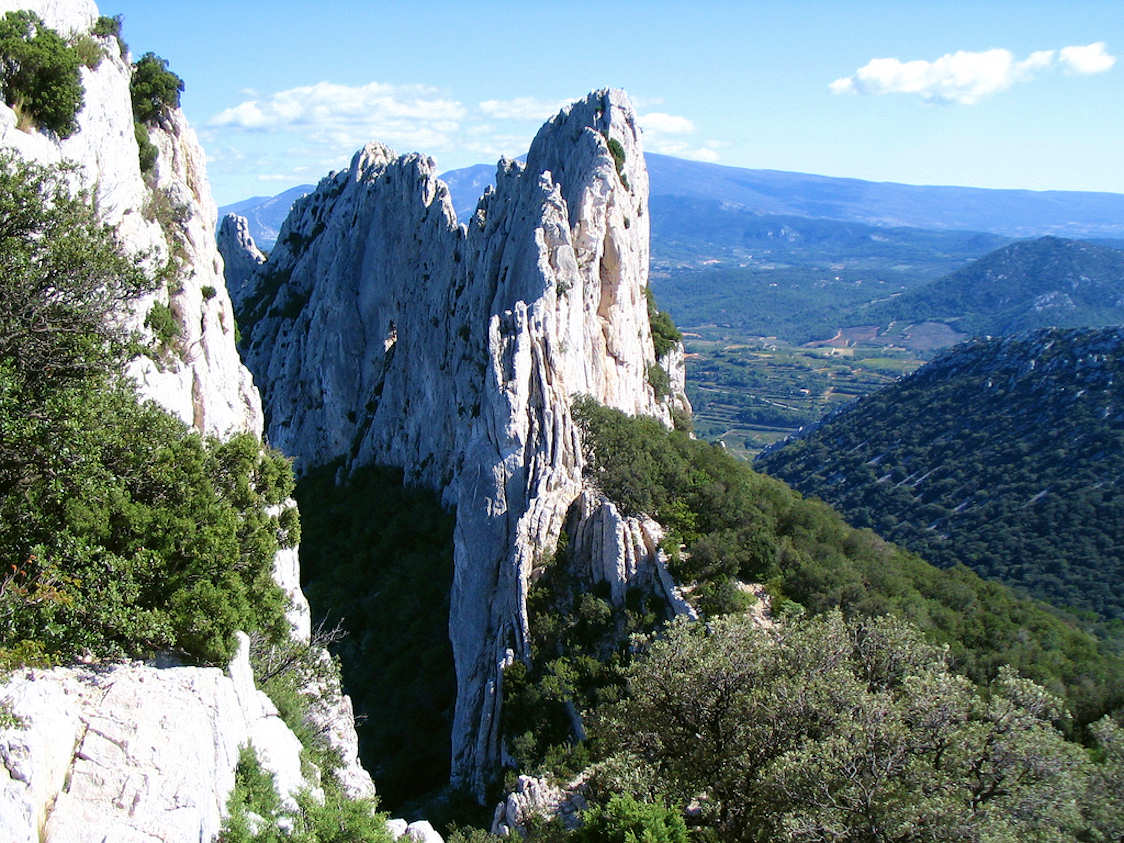 I vini della Côtes du Rhône: il sud (prima parte)