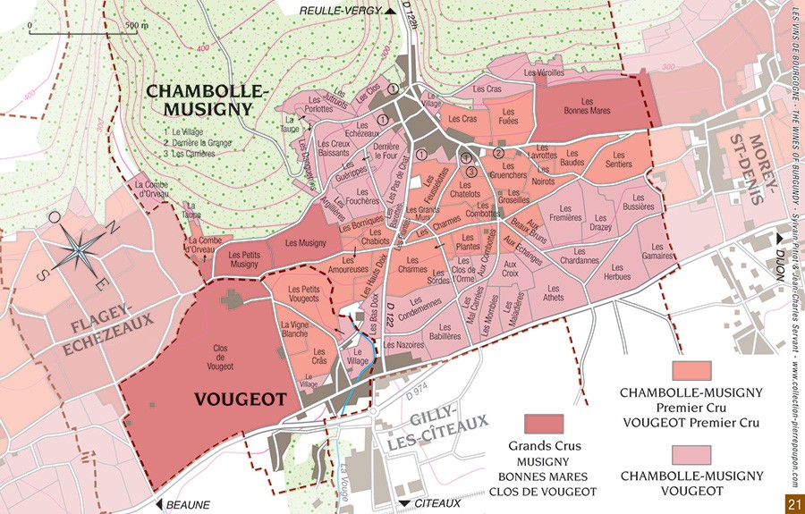 Viaggio in Borgogna: Chambolle-Musigny