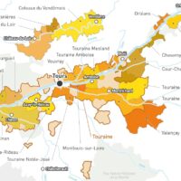 Viaggio in Val de Loire, terza parte, Vignobles de la Touraine